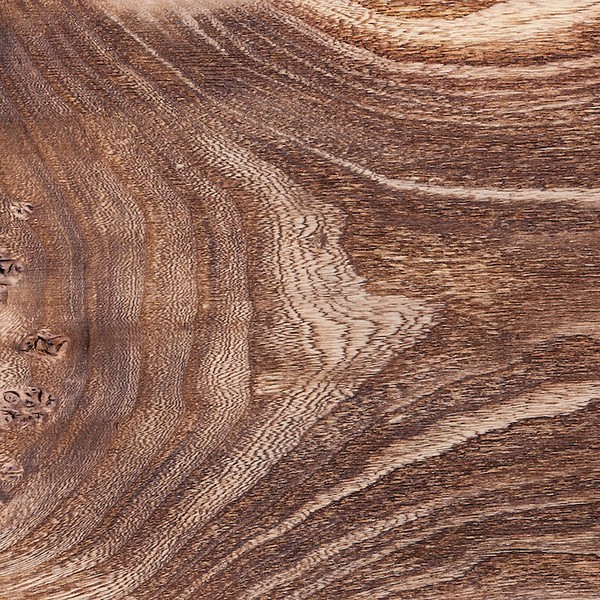 wood texture of the elm burl