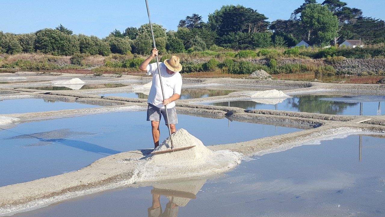 marais salants seb le paludier