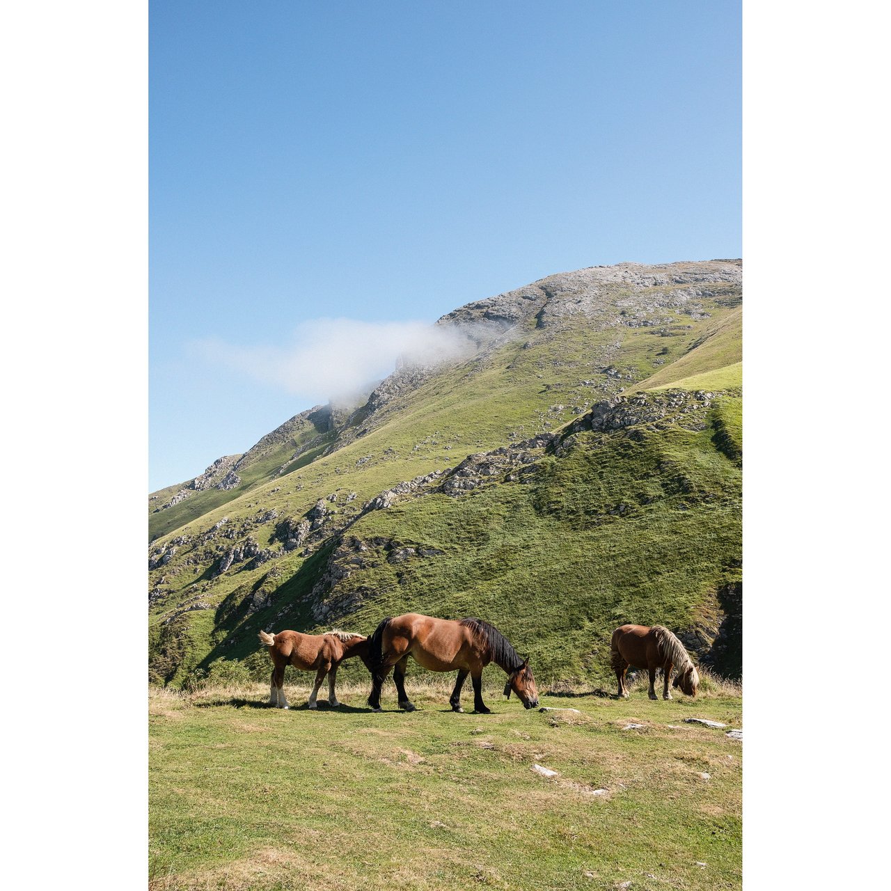 20200828_session photo iraty