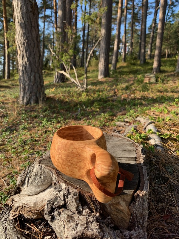 50516F67-3648-4BA6-B5C1-38FA006F1E2F