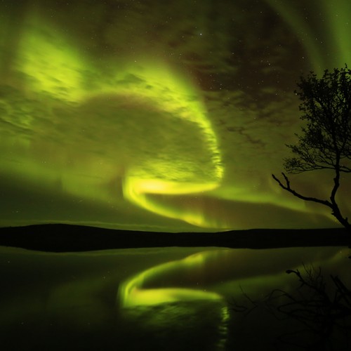 groen noorderlicht boven een meer in Finland
