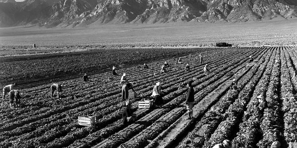 Ansel_Adams_-_Farm_workers_and_Mt._Williamson