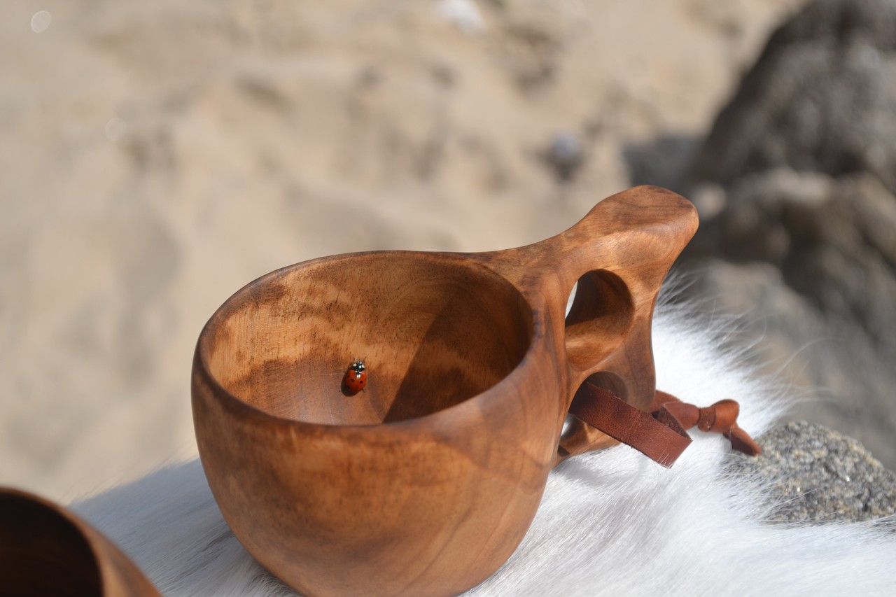 kuksa-coccinelle