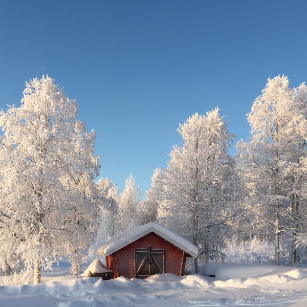 Lapland nature cottage
