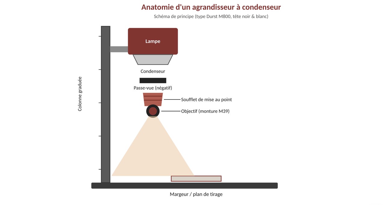 agrandisseur