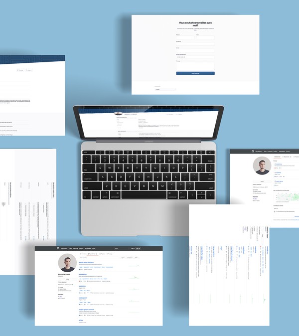 Prévisualisation du site internet Alexis Le Baron 2