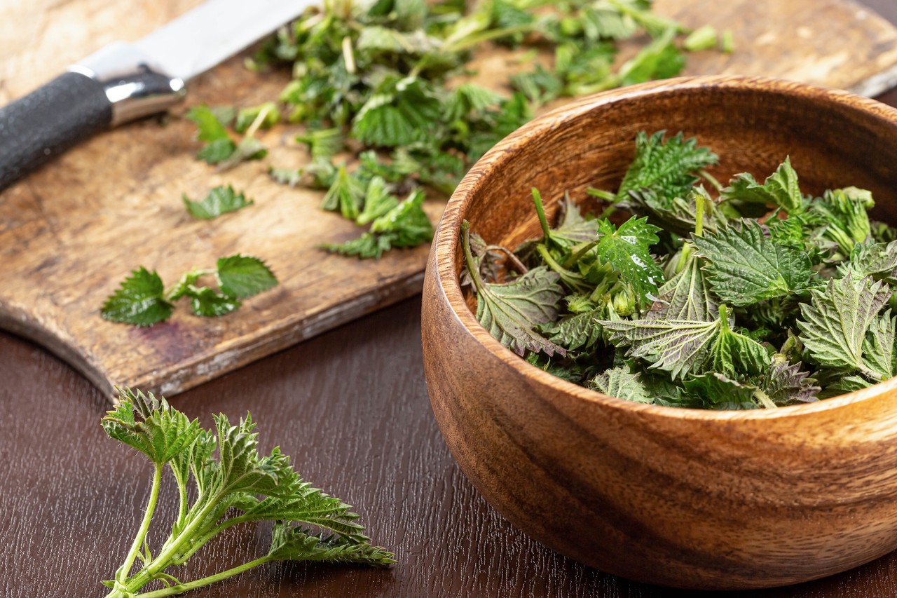 Nettle