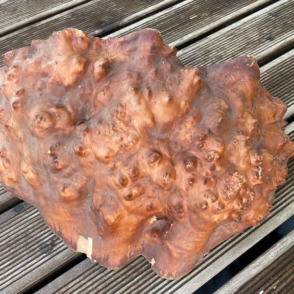 aspetto della radica di betulla