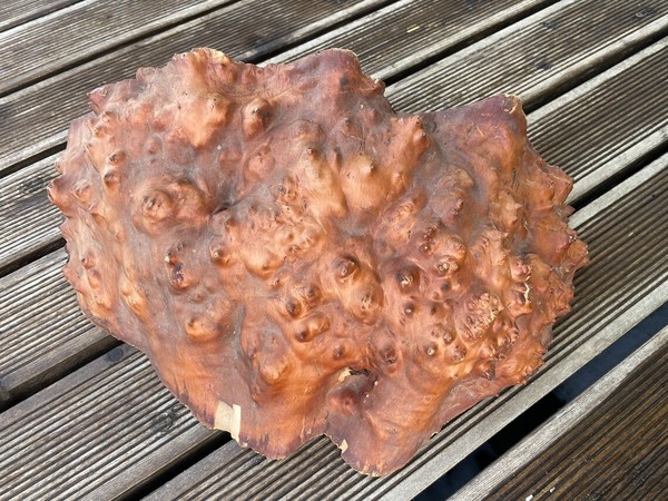 exterior appearance of the birch burl