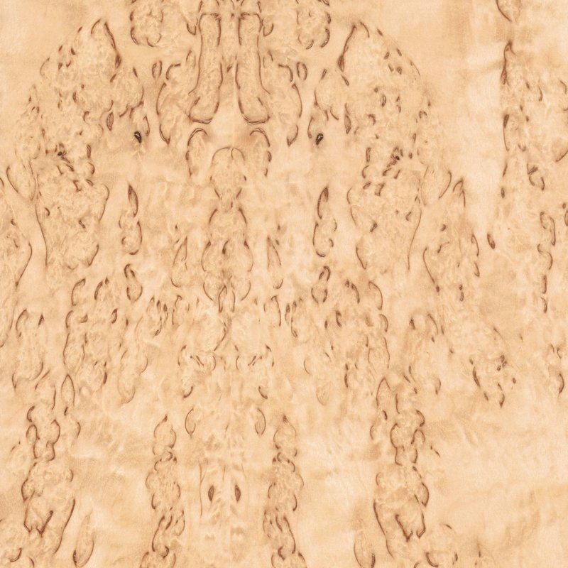 bouleau madré carré