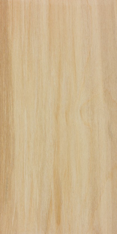 Birch wood