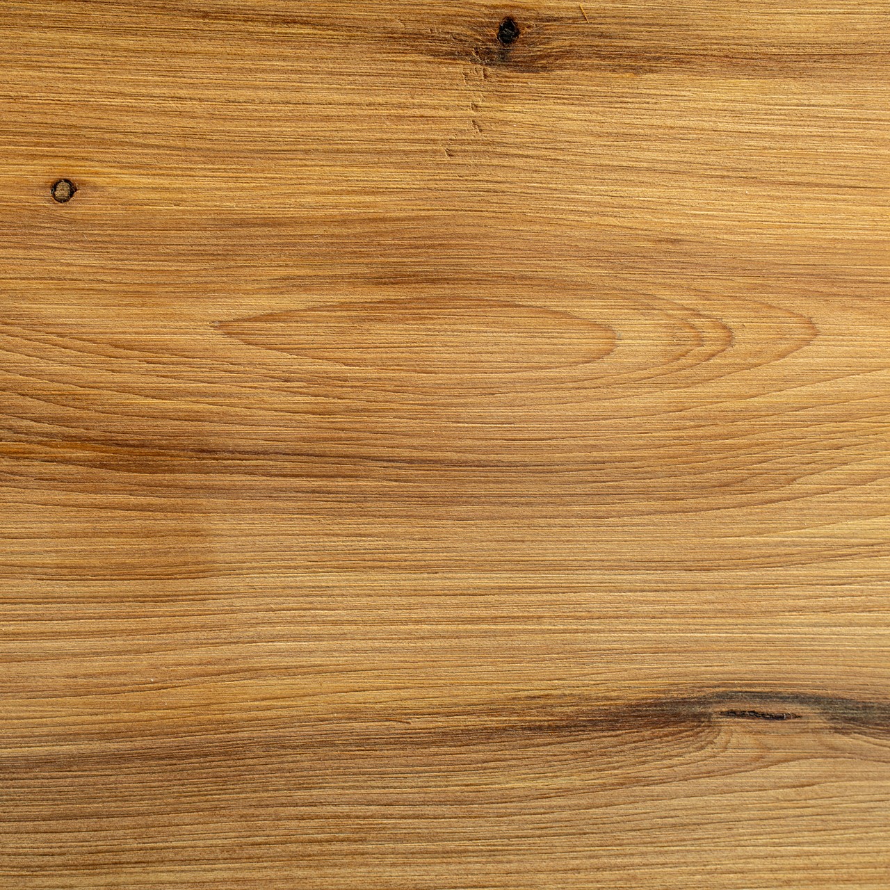 struttura del legno di ginepro