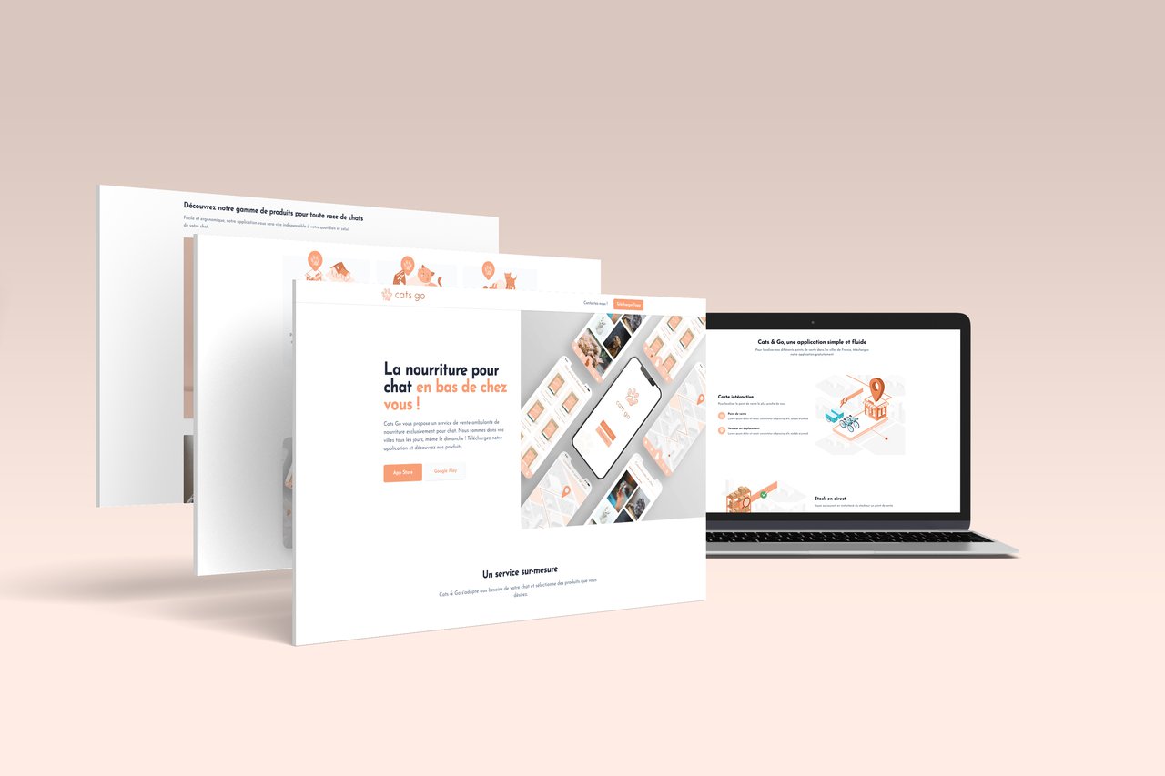 Prévisualisation du site internet app snoweb 1