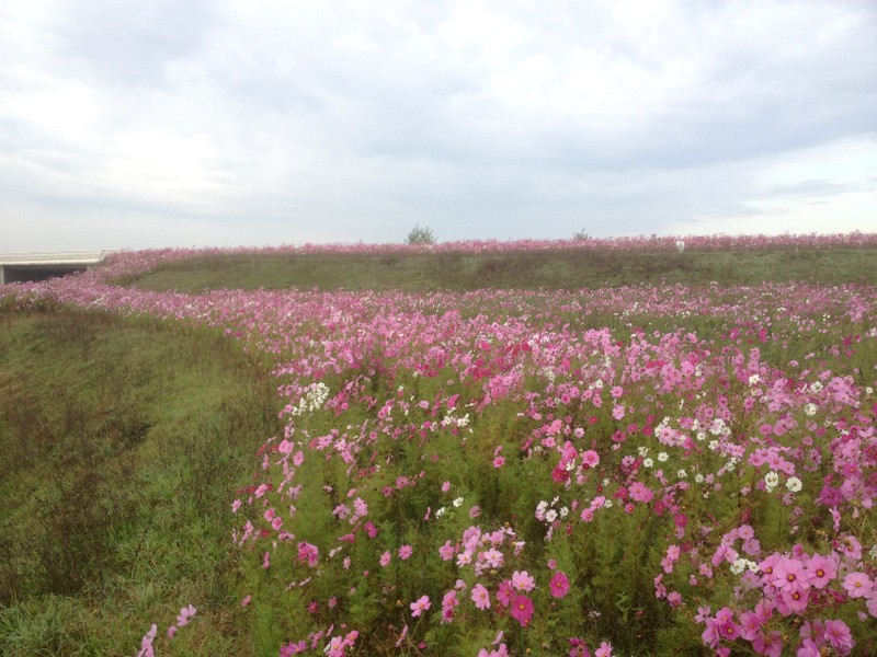 echangeur_bellevue_7