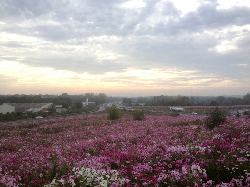 echangeur_bellevue_3