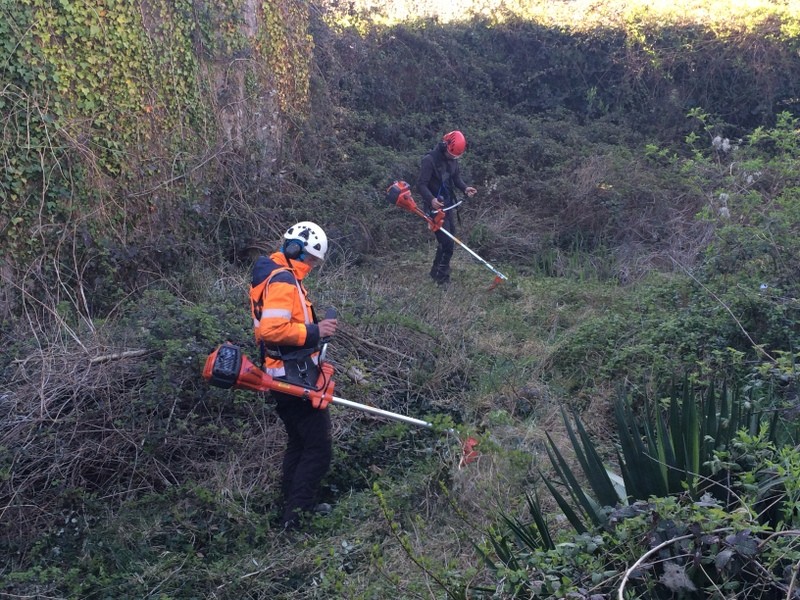 entretien__debroussaillage_3