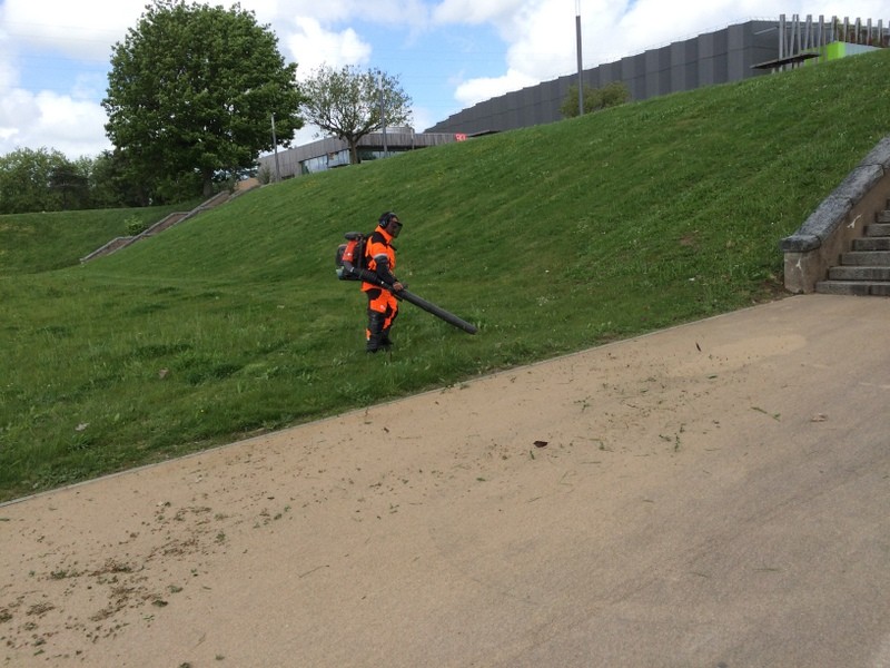 entretien__souffleur_feuille