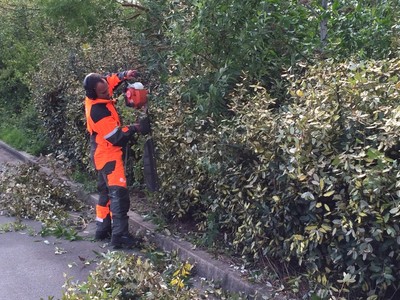 entretien__taille_haie