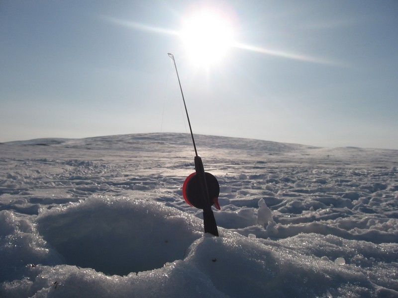 finlande-france-travel_peche_blanche_artique_7