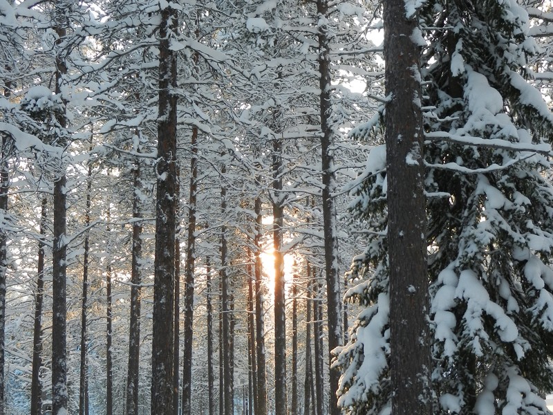 finlande-france-travel_raquettes_ski_de_fond_4