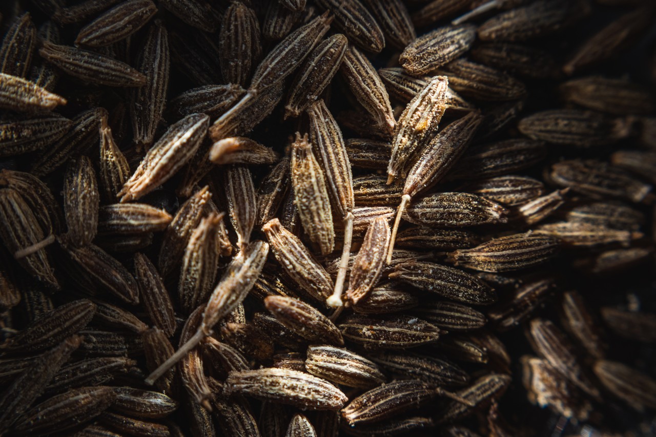 cumin seed