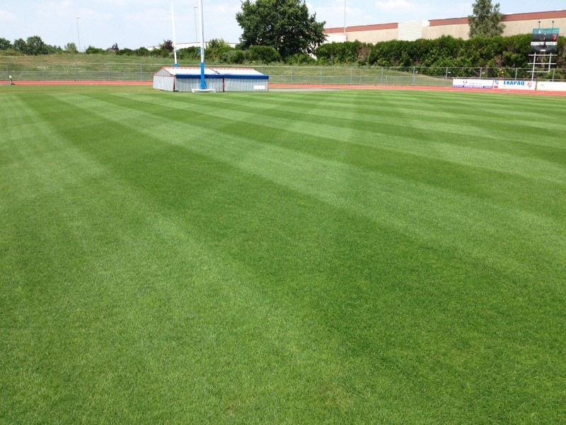 entretien-sols-sportifs1