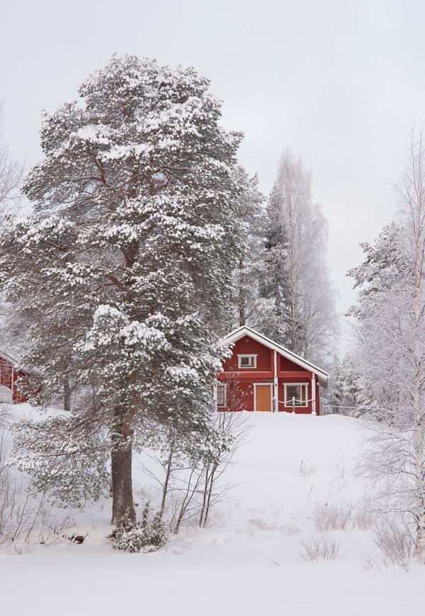 keskikokoinen mokki2