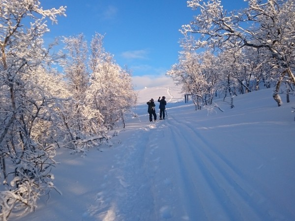 laponie_finlandaise_voyage_raquettes_6