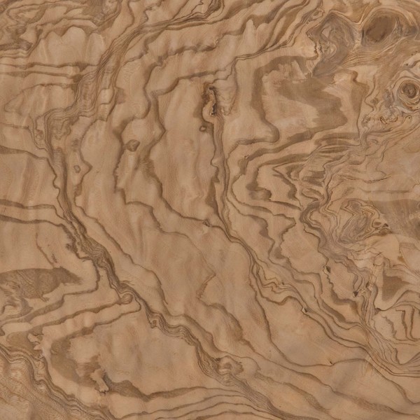 autre texture de loupe de frêne-olivier