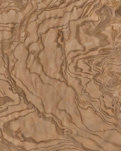 nudo de fresno olivo