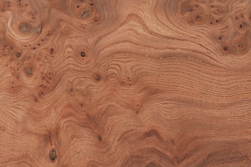 loupe-orme-horozontal