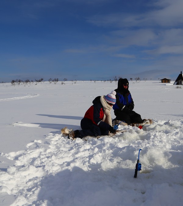 Paysage neige Laponie