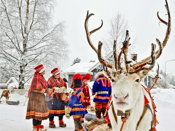 Sami people with a reindeer