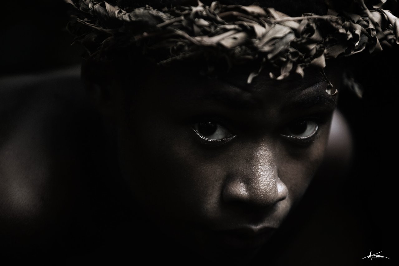 regard félin 45x30