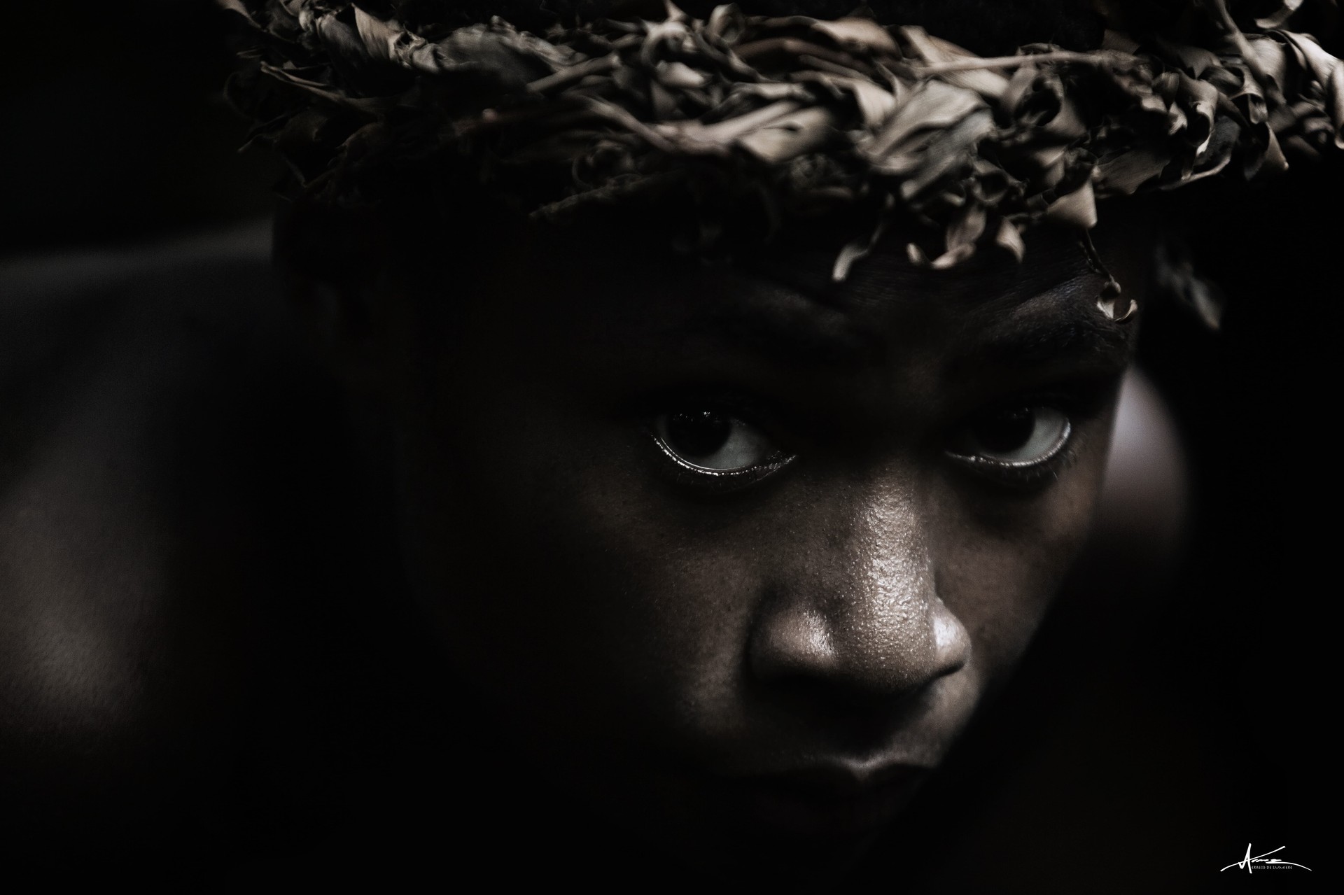 regard félin 45x30