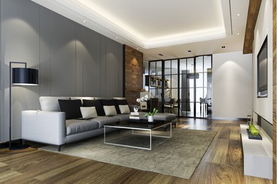 Maison avec salon grand canapé moderne salon télé