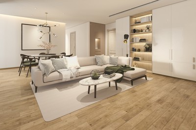 Maison avec salon canapé parquet bois meubles