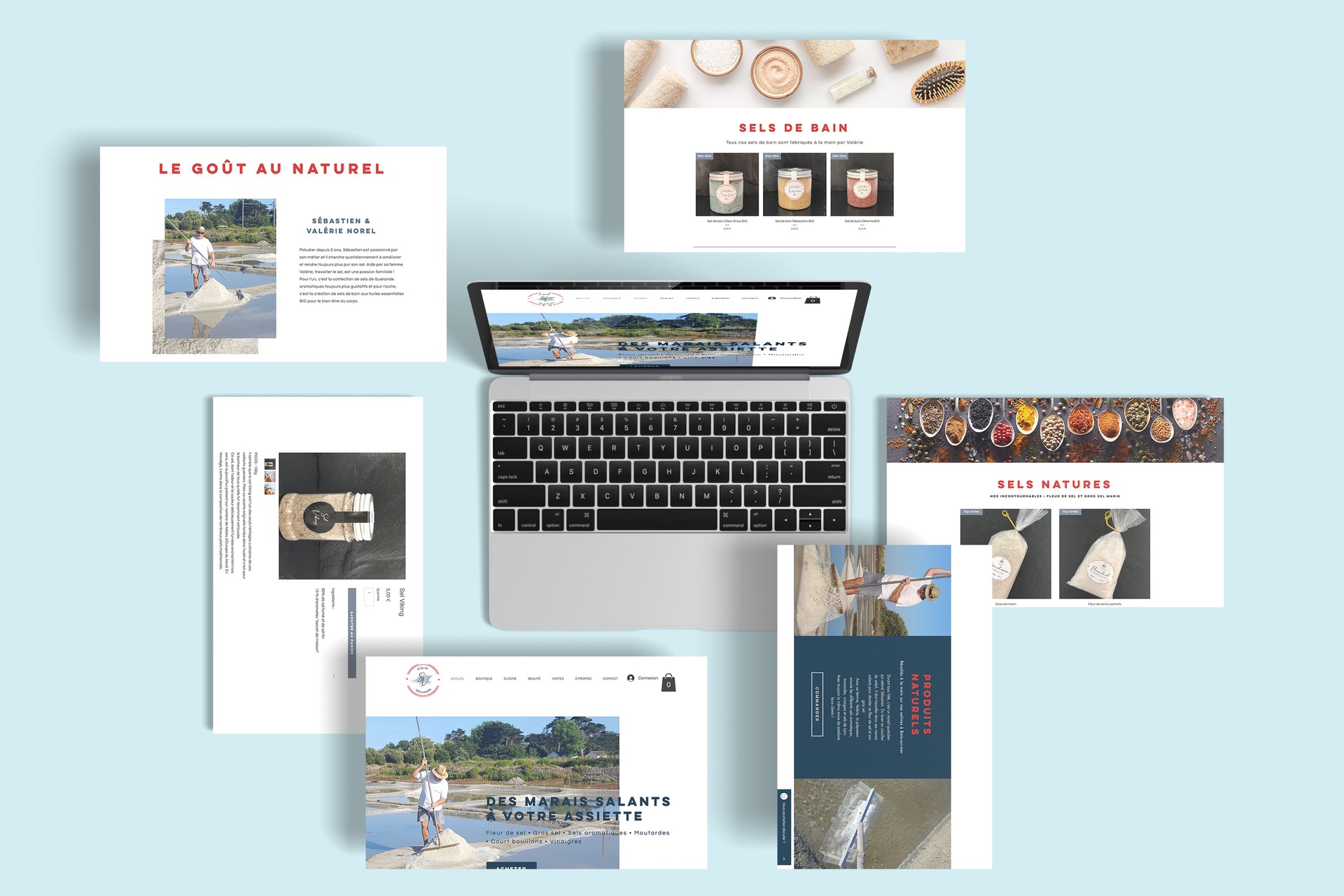 seb-le-paludier-site