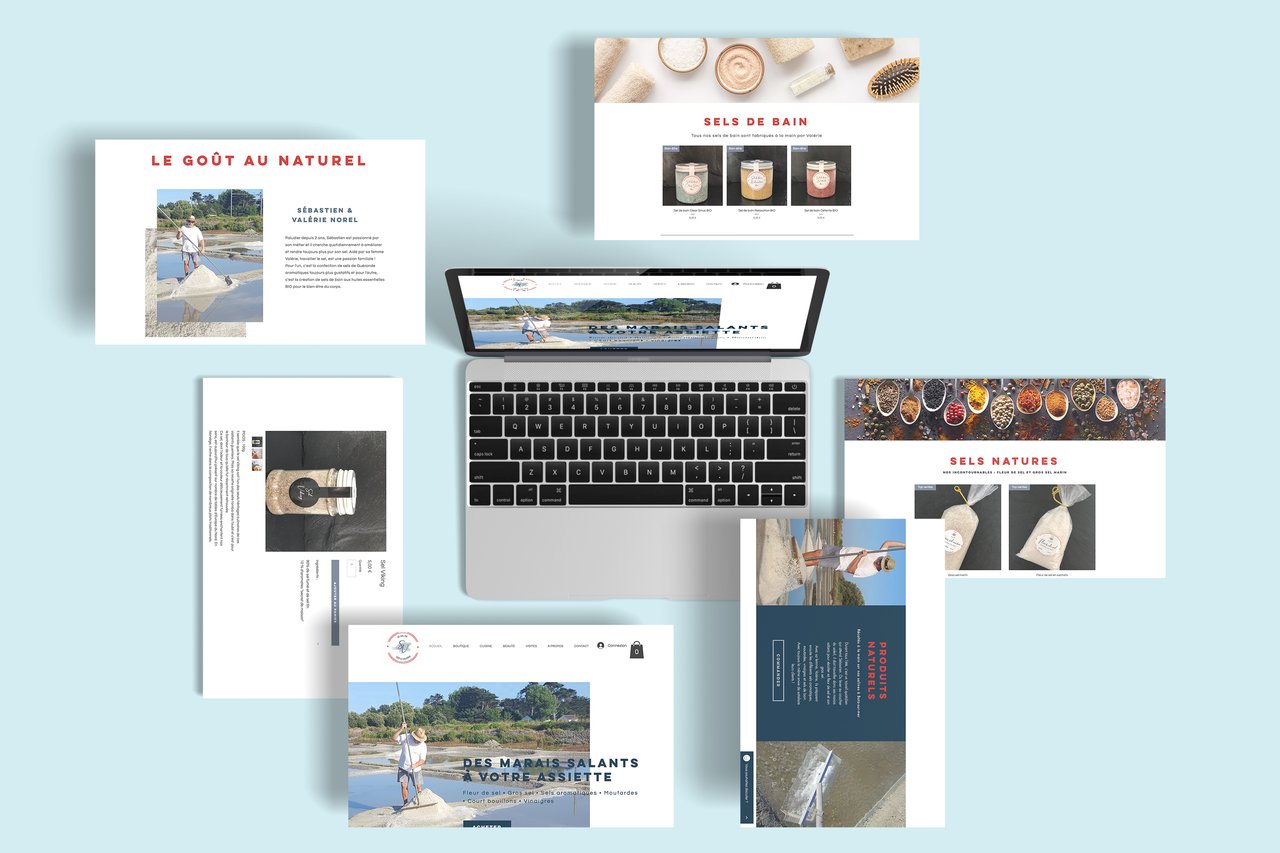 seb-le-paludier-site