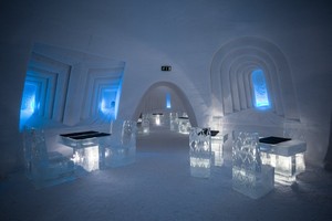 snow restaurant