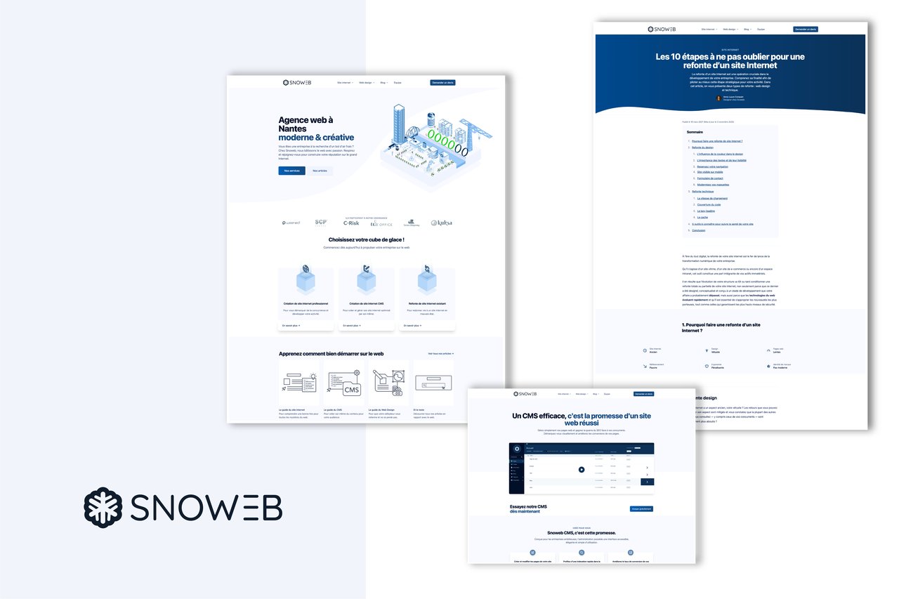 website-snoweb1